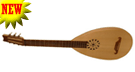 guitar music instrument